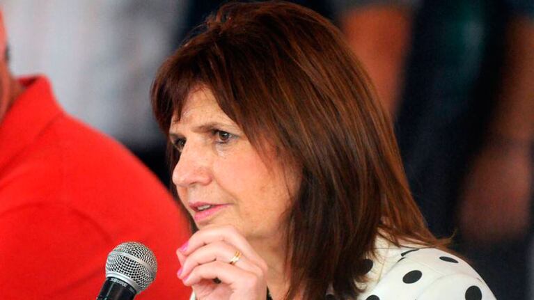 Patricia Bullrich explicó el protocolo que se sigue previo al derribo.