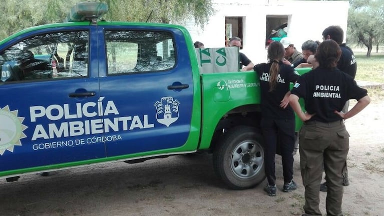 Patrulla Ambiental acudió al llamado de la vecina. (Imagen ilustrativa)