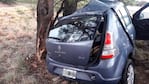 Perdió el control del auto e impactó de lleno contra el árbol.