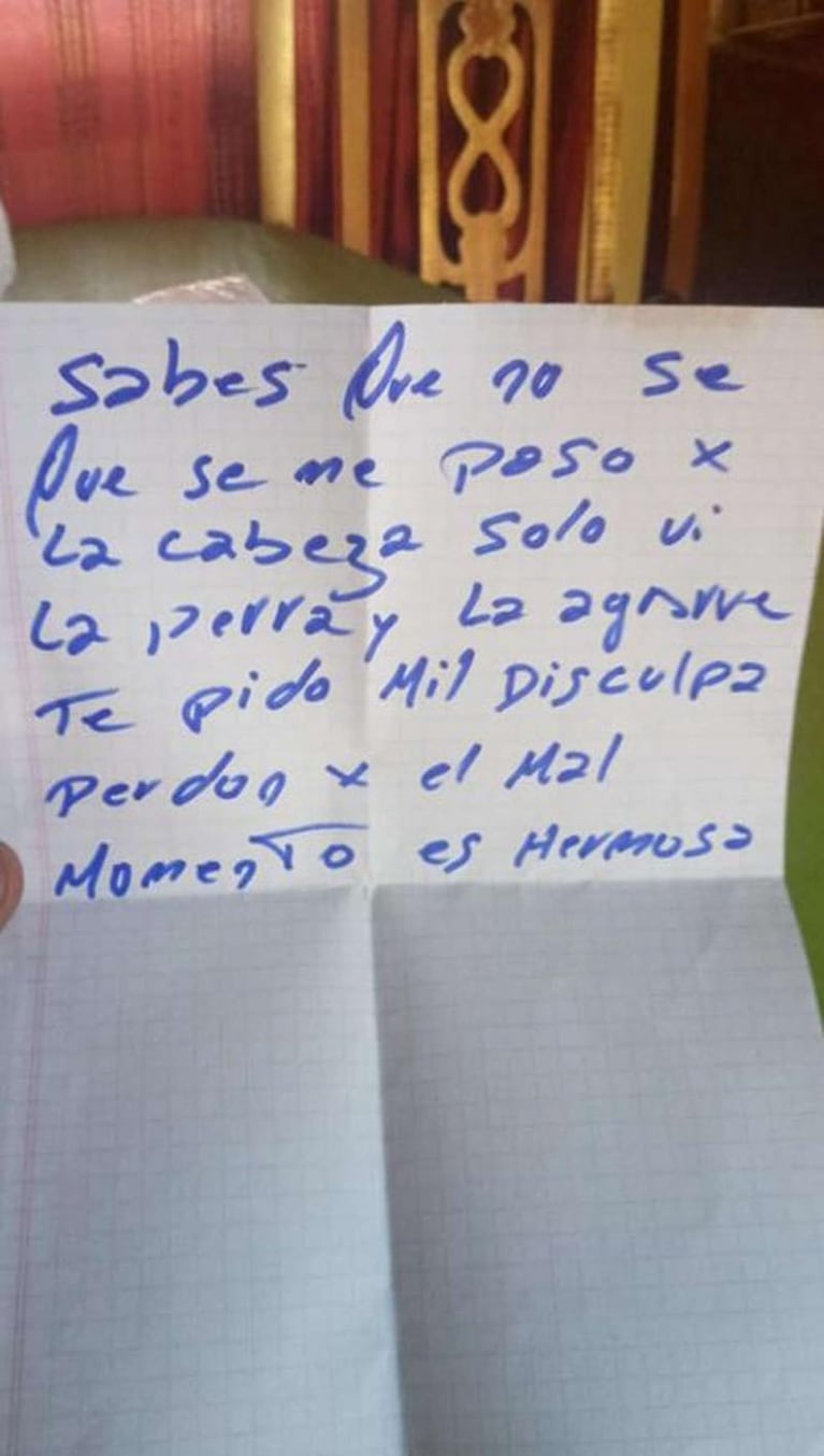 "Perdón, es hermosa": robó una perra, se arrepintió y la devolvió tras una campaña en redes