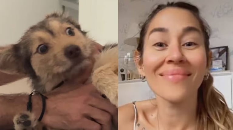 perra jimena baron
