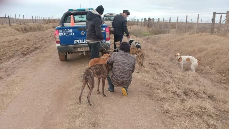 Perros rescatados en operativos el sur de Córdoba.
