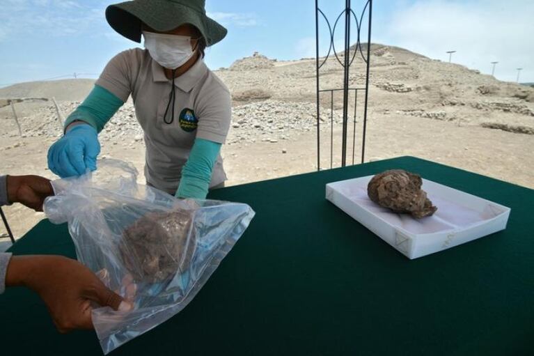 Perú: hallaron rastros de un sacrificio masivo de niños