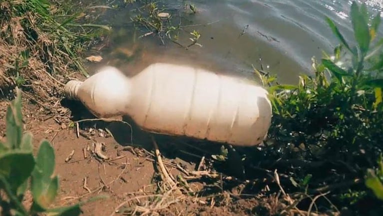 Pescados por la contaminación: lo que el Río Suquía lleva a la Laguna Mar Chiquita