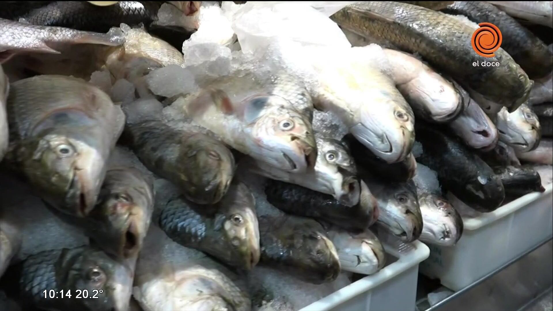 Pescados y mariscos aumentaron por arriba del 30%