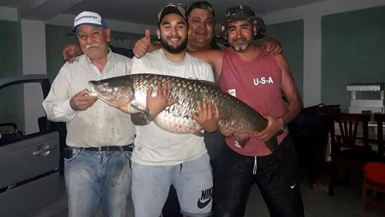 Pescaron una carpa de 40 kilos en el Lago San Roque con una “carnada secreta”