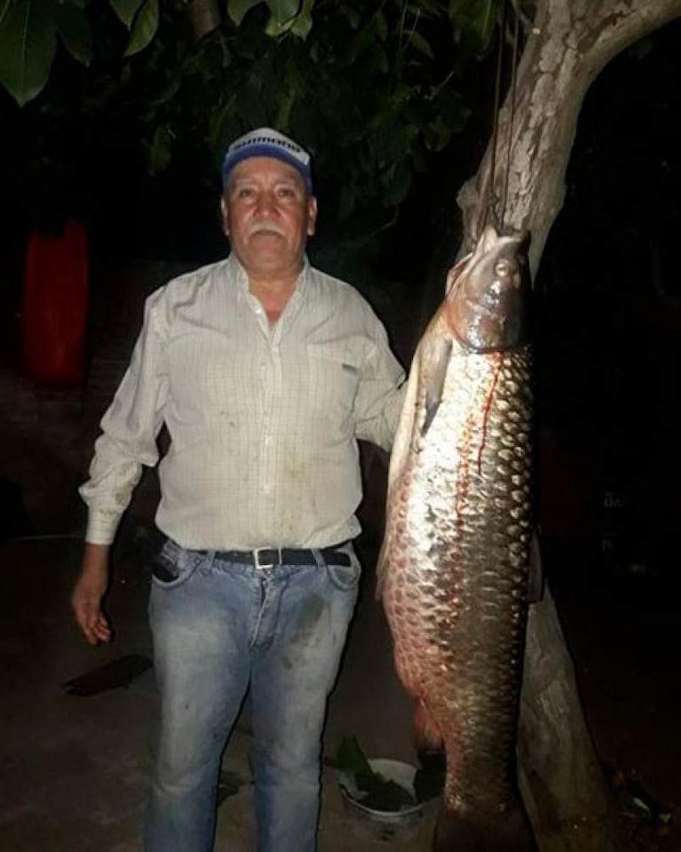Pescaron una carpa de 40 kilos en el Lago San Roque con una “carnada secreta”