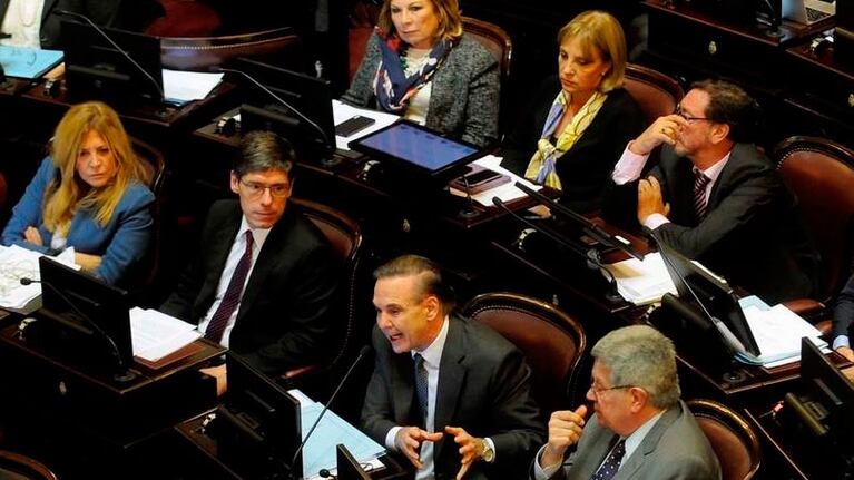 Pichetto votó a favor de la ley antidespidos.