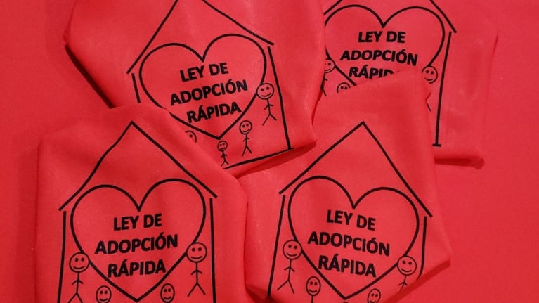 Piden una nueva Ley de Adopción