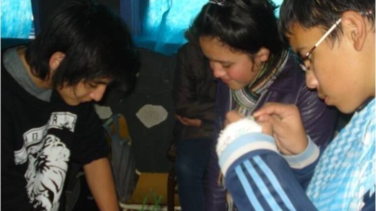 ¡Pilas chicos! Proyecto en la Feria de Ciencias Provincial