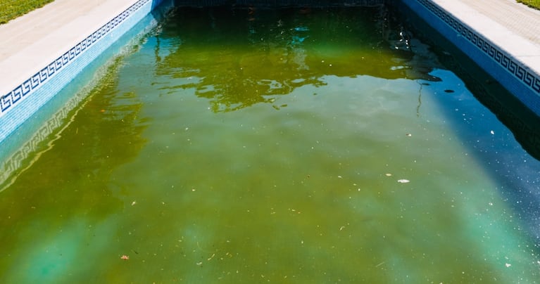 Pileta no mantenida durante el invierno. 