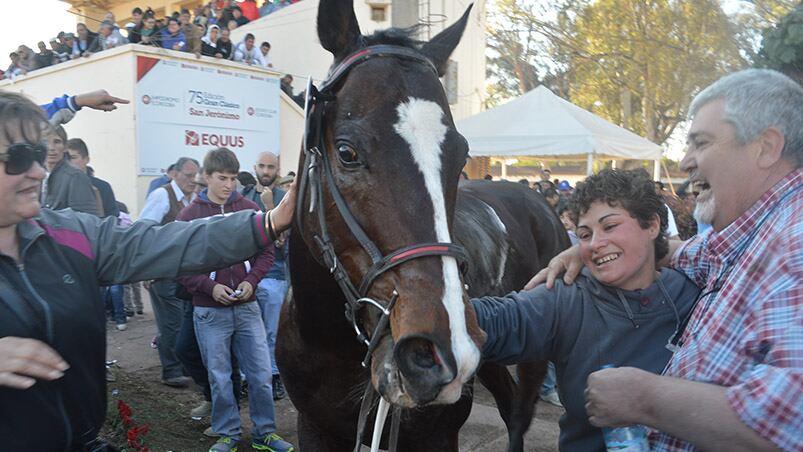 Pixar, el caballo mendocino fue el gran ganador. Foto: Lucio Casalla / ElDoce.tv.