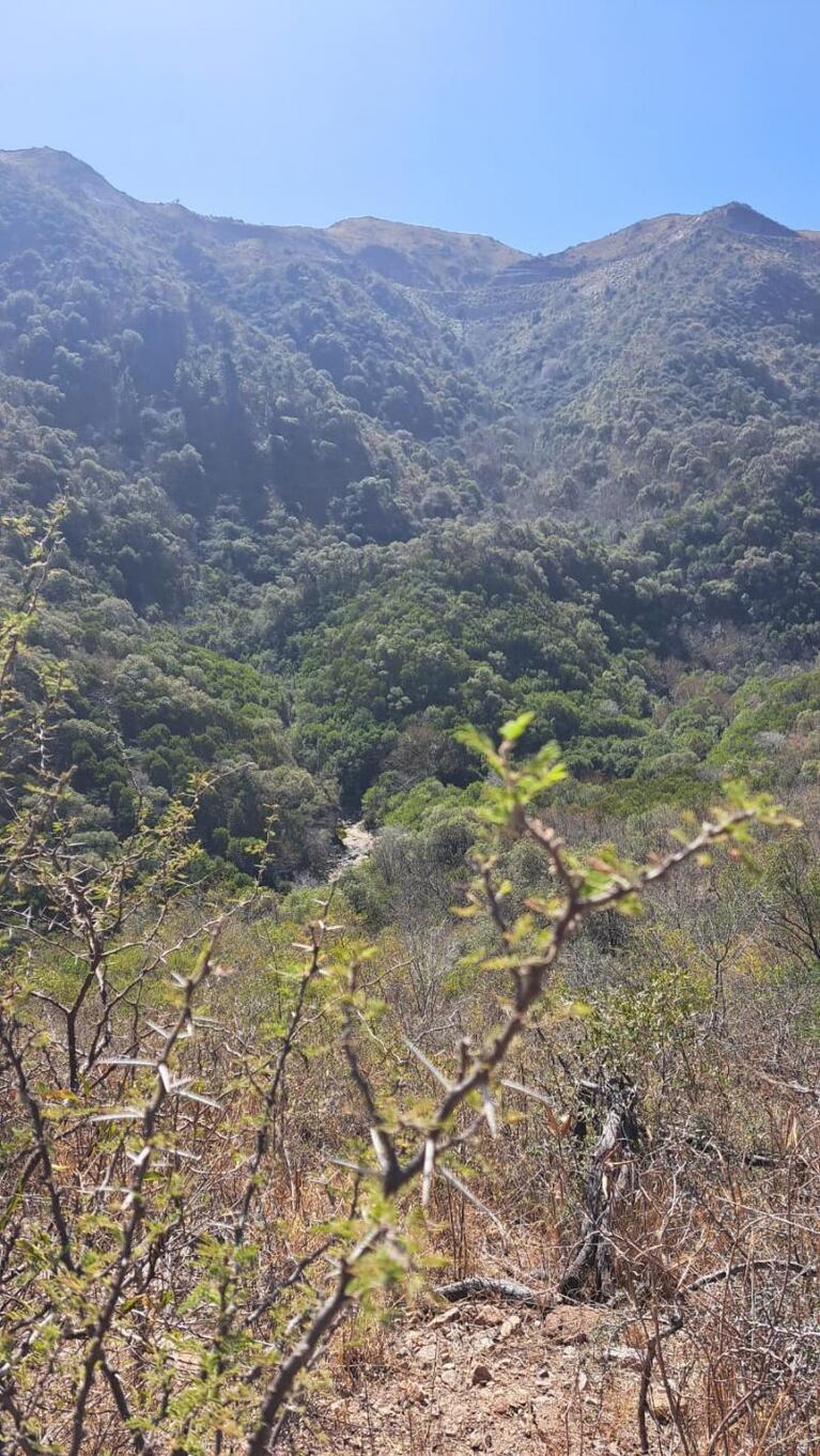 Plan ideal para fin de mes: sierras, cascadas y bosque muy cerca de Córdoba capital