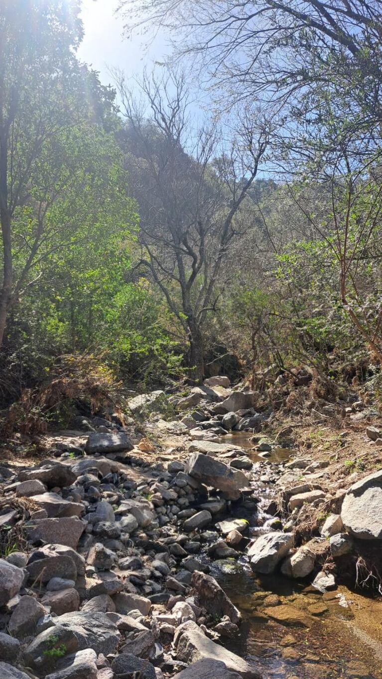 Plan ideal para fin de mes: sierras, cascadas y bosque muy cerca de Córdoba capital