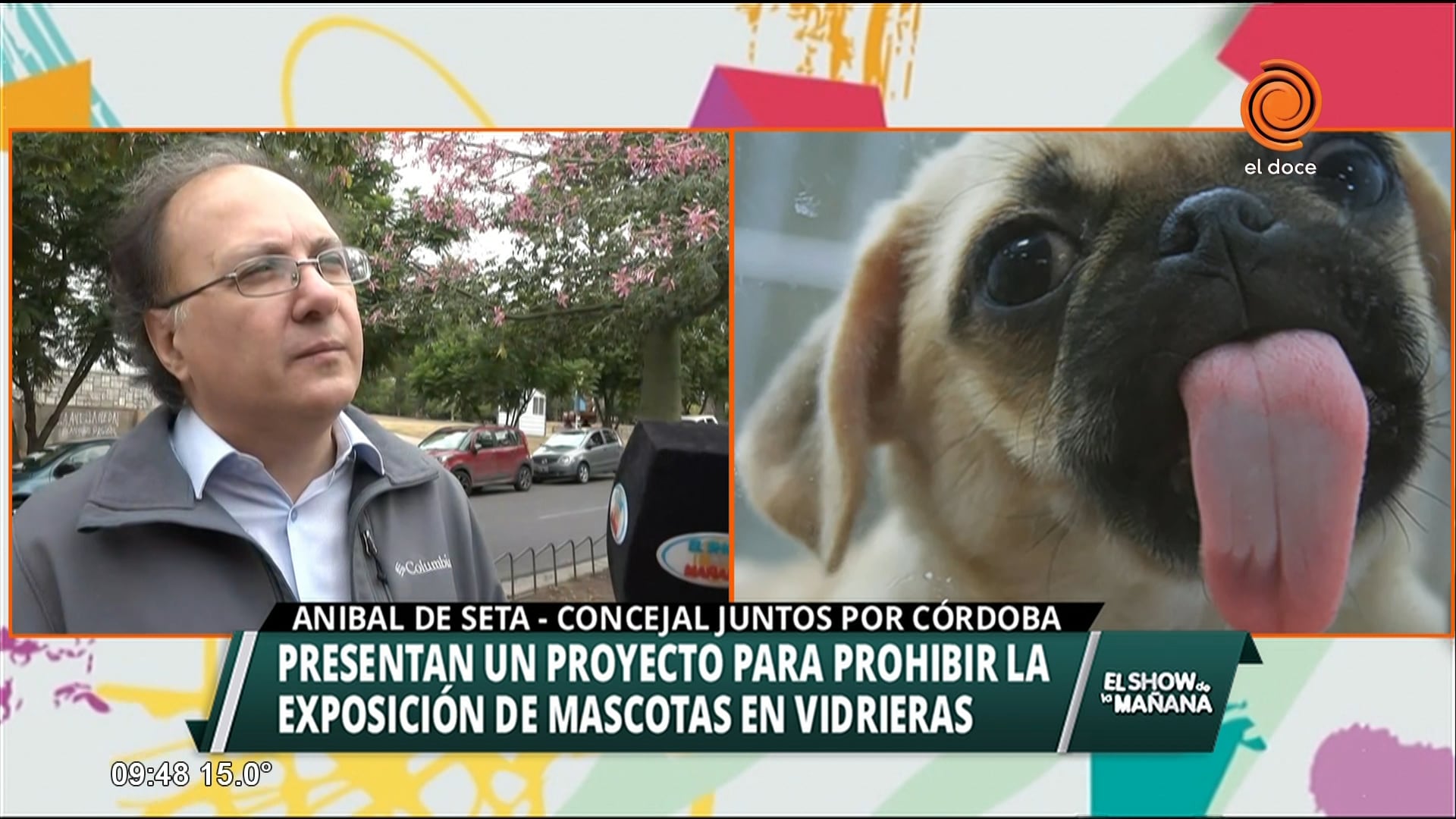 Planean prohibir mascotas en vidrieras