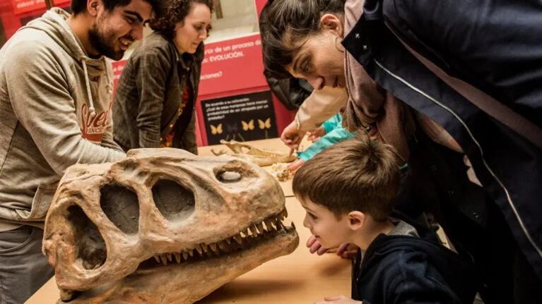 Planes y actividades para disfrutar con los más chicos.