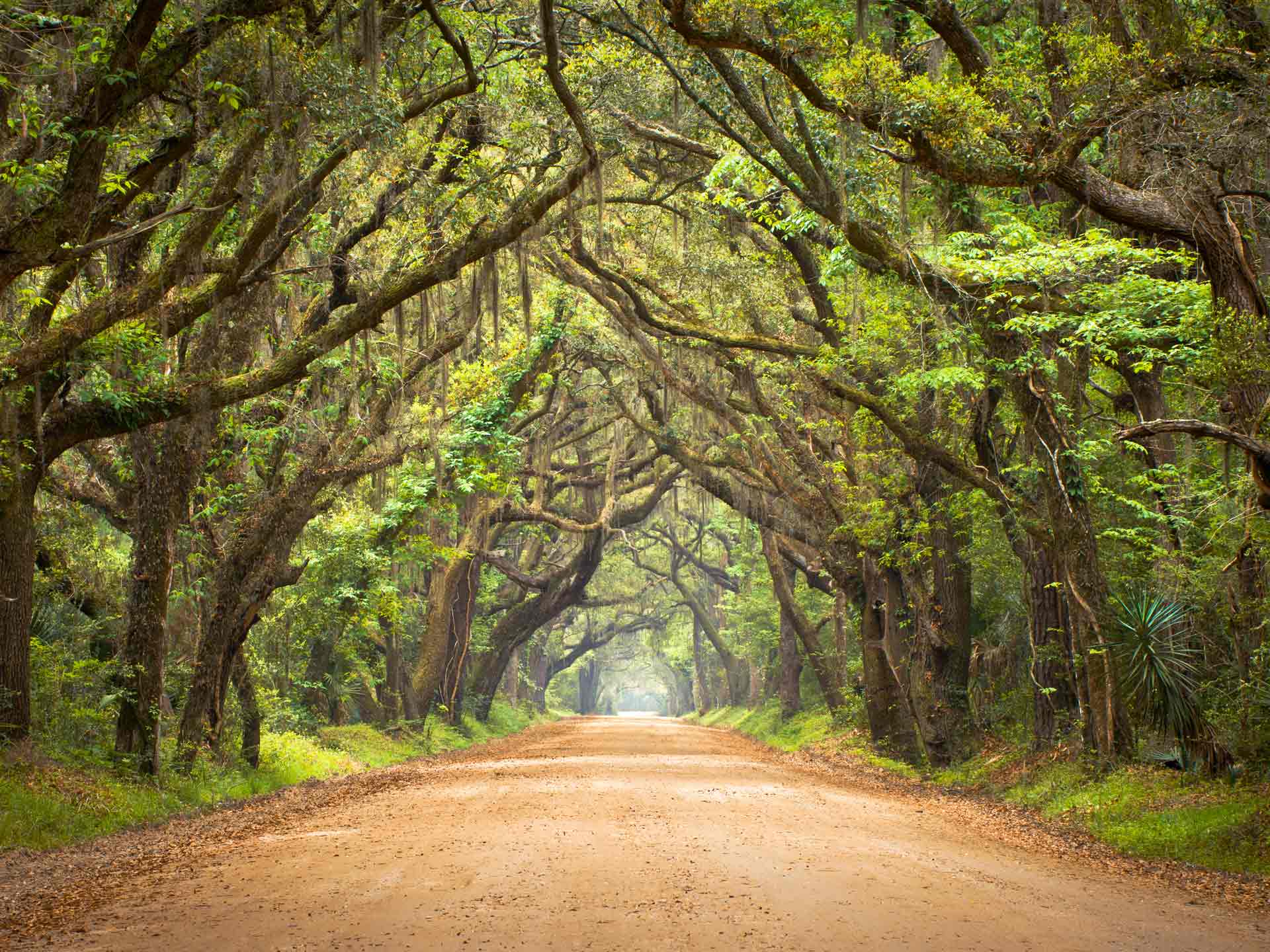 Plantación Botany Bay (Estados Unidos)