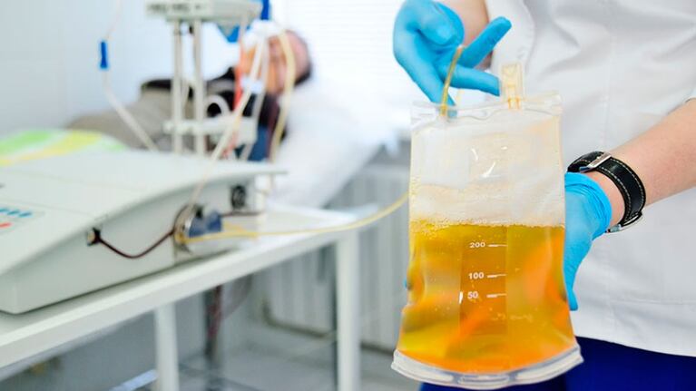 Plasma de recuperados de coronavirus, bajo la lupa en Córdoba.