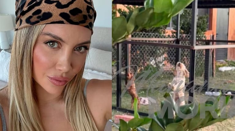 Polémica por los perros de Wanda Nara.