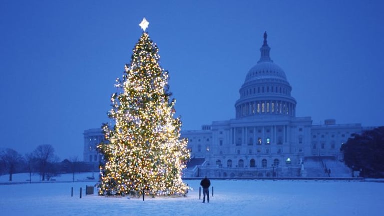 ¿Por qué el Árbol de Navidad se arma el 8 de diciembre?