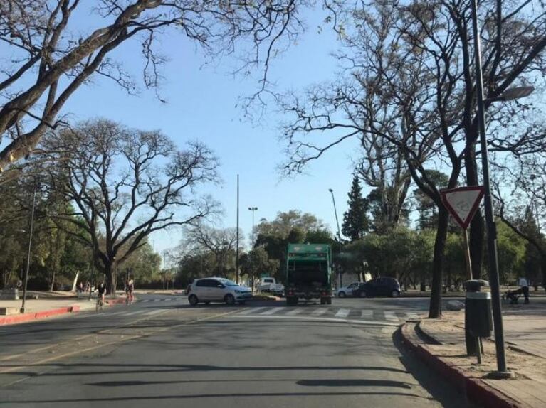 Por tercera vez, sacaron la bandera LGBTIQ+ del Parque Sarmiento