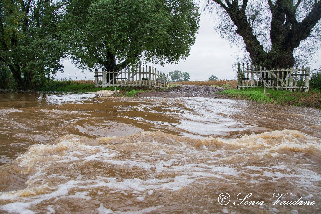 Pozo del Molle se inundó por tercera vez en el año. 