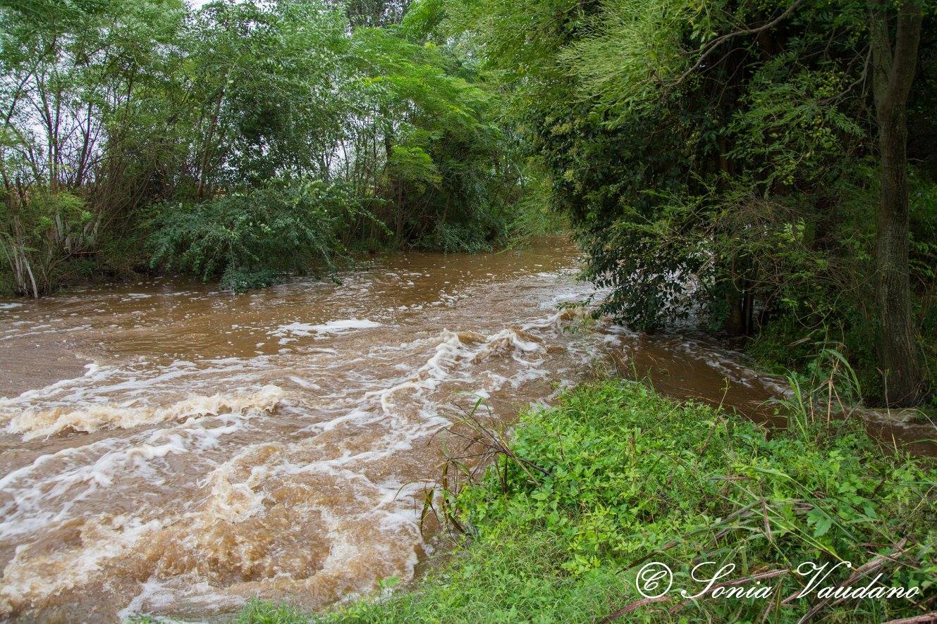 Pozo del Molle se inundó por tercera vez en el año. 