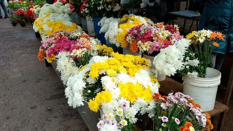 Precio, calidad y mucho color en las ferias francas