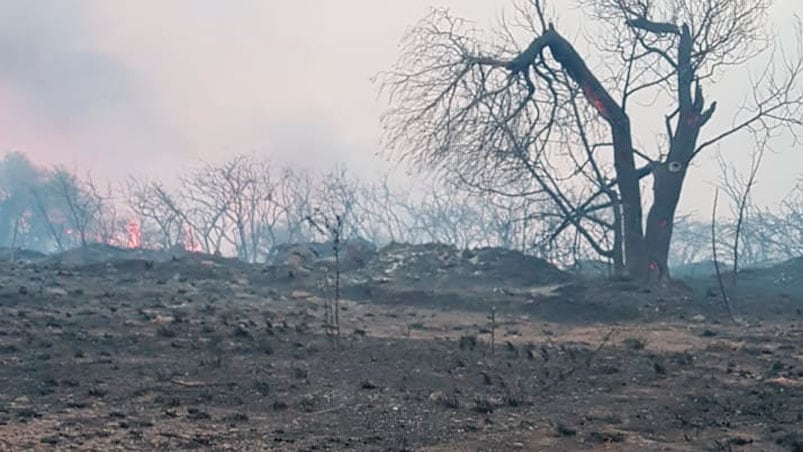 Preocupa el daño ambiental por los incendios y la falta de lluvia.