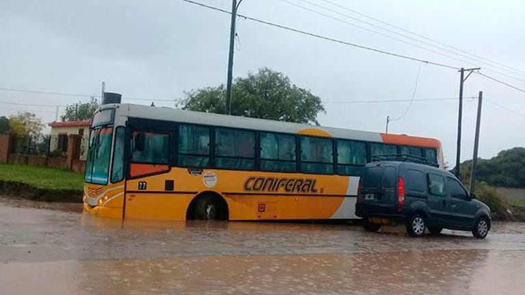 Preocupación y bronca por un nuevo caso de un colectivo empantanado. / Foto: ElDoce.tv