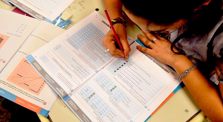 Preocupan los resultados en matemática de las Pruebas Aprender 2024.