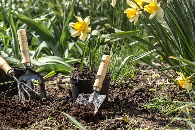 Primavera, jardín florecido y cuidado del agua pueden ser sinónimos