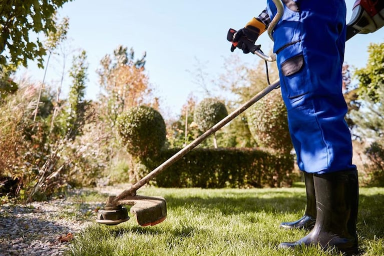 Primavera, jardín florecido y cuidado del agua pueden ser sinónimos