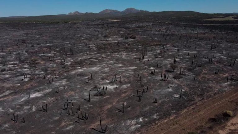 Productores arrasados por el fuego piden la renuncia del secretario de Ambiente: "Por querer conservar, se destruye más"