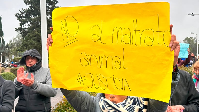 Protesta en Villa Allende por el falso veterinario que atacó a un perro.