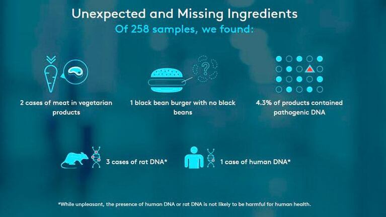 ¡Qué asco! Encontraron ADN humano y de ratas en hamburguesas