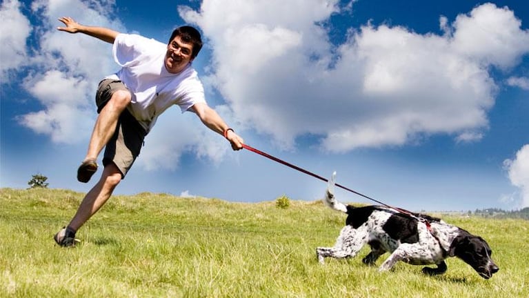 ¿Qué cosas les molesta a los perros de sus dueños?