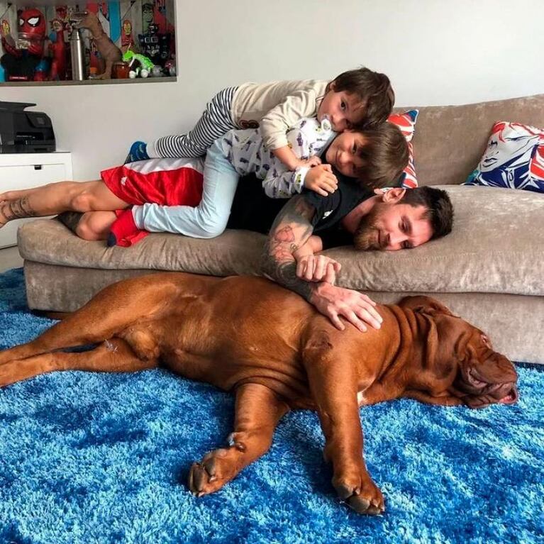 Qué pasó con Hulk, el perro gigante de Lionel Messi