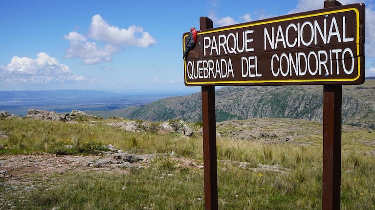Quebrada del Condorito