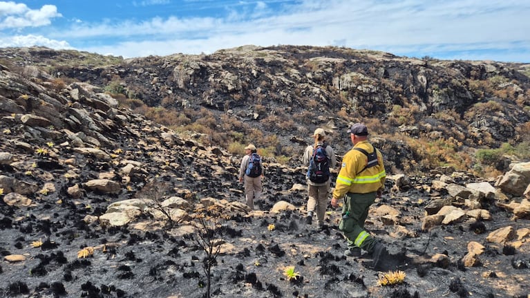 Quebrada del Condorito ( Foto: Prensa del Parque Nacional /BRUNO ZORATTI)