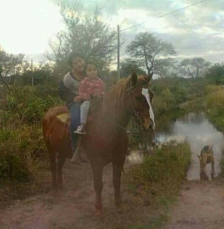 Quemaron a un caballo en un campo