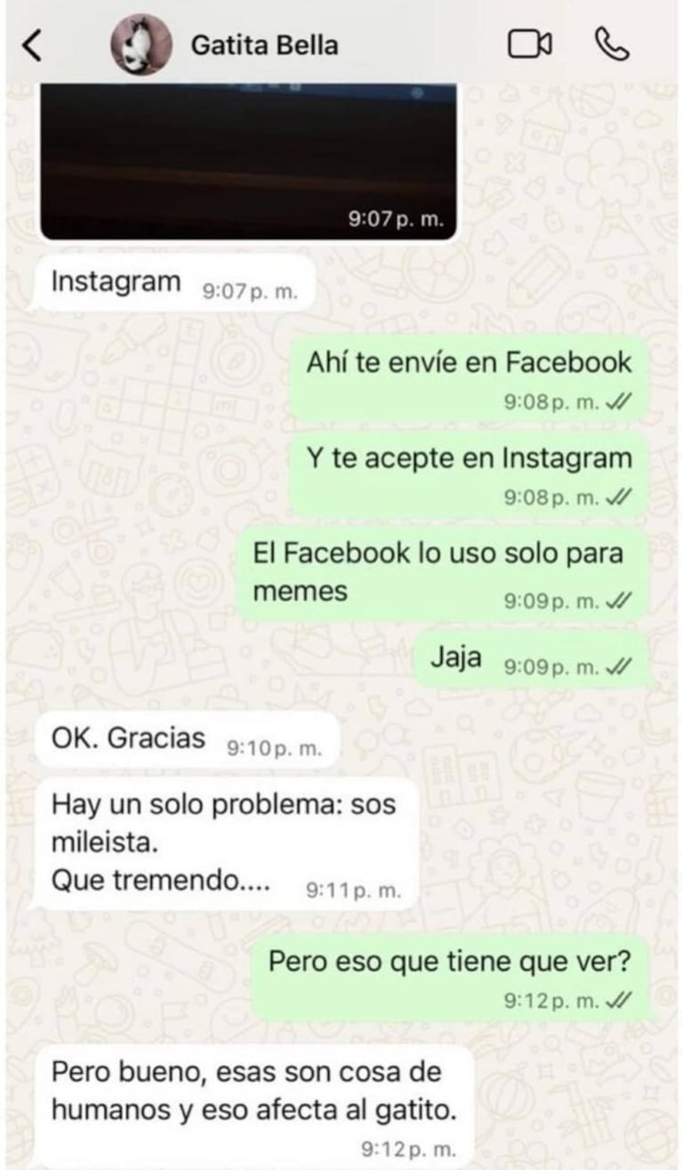 Quiso adoptar una mascota y se lo negaron por apoyar a Milei: “Eso afecta al gatito”