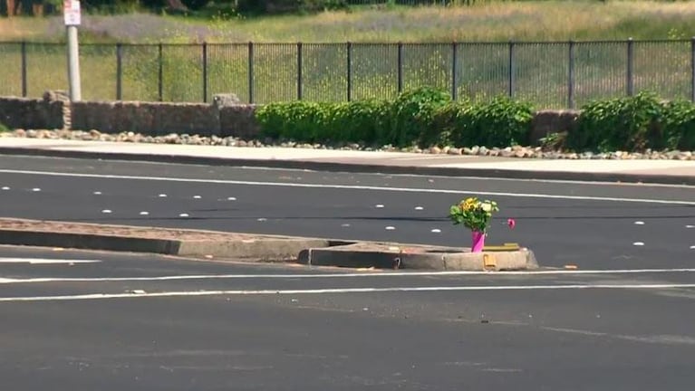 Quiso ayudar a una familia de patitos a cruzar la calle y murió atropellado