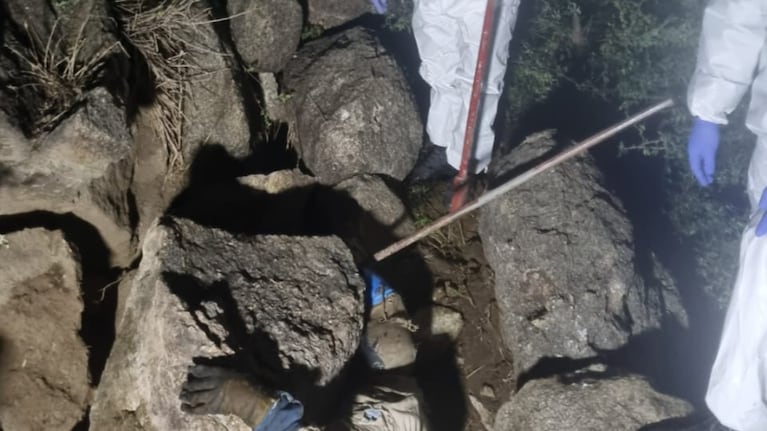 Quiso sacar un enjambre de abejas, se desmoronaron las piedras y murió aplastado