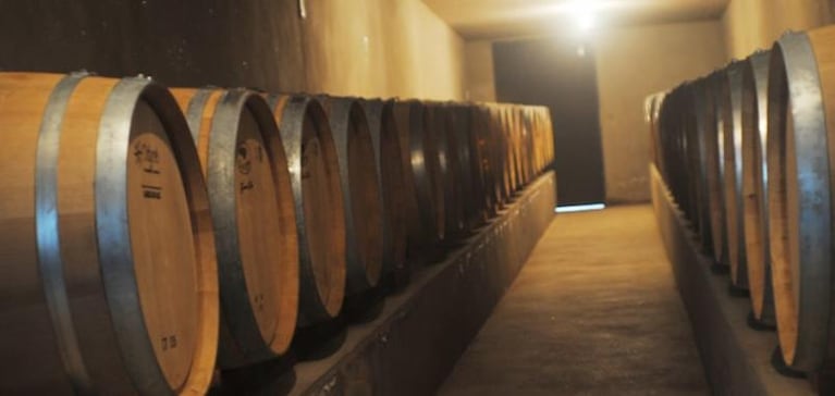 Realidad virtual para promover los caminos del vino de Córdoba