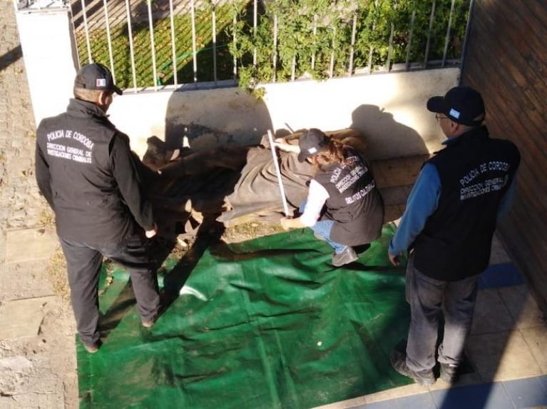 Reapareció una estatua de la Plaza Colón que llevaba 40 años perdida