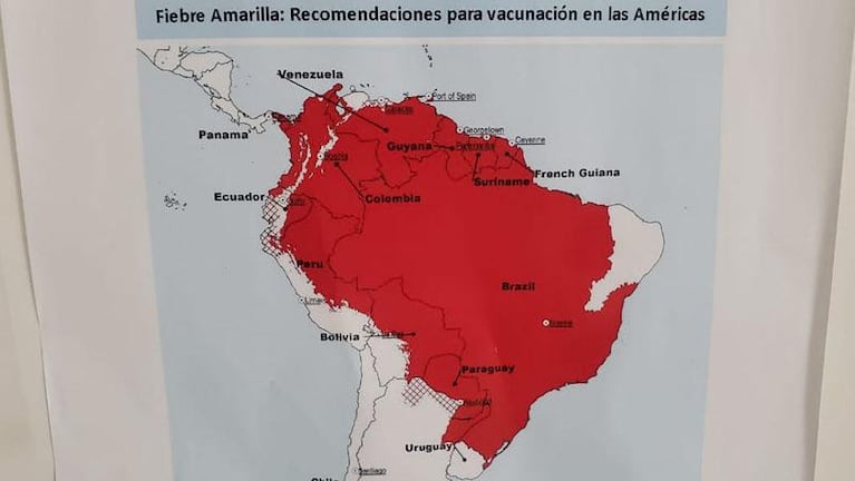 Recomiendan a viajeros vacunarse contra el sarampión y la fiebre amarilla