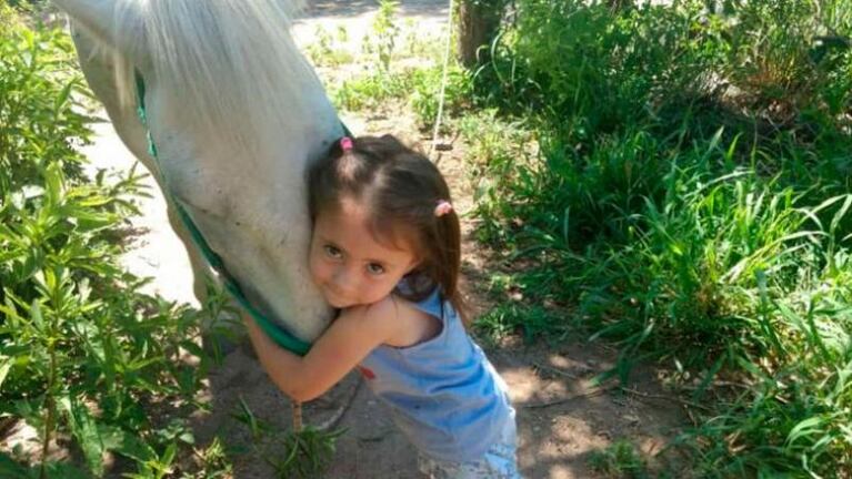 Recuperaron a "Lobito", el caballo de una niña con Síndrome de Down