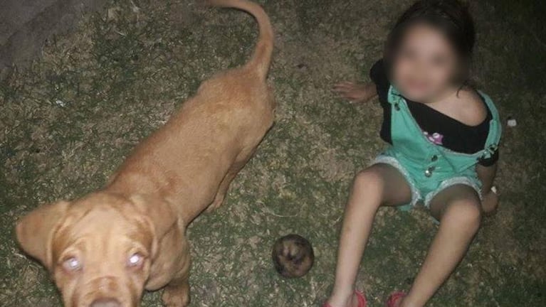 Recuperaron el cachorro que les habían robado de su casa en Córdoba