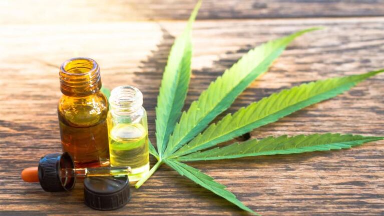 Reglamentan producción de cannabis a dos años de su aprobación
